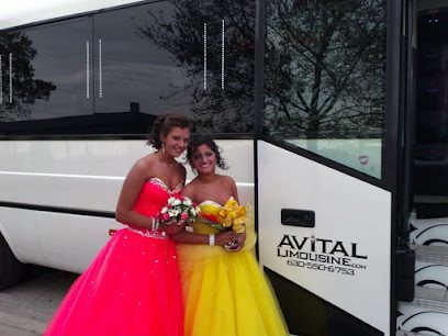 Avital Chicago Limousine and Party Bus