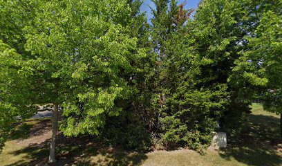 Illinois Drug Rehab Helpline